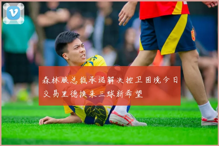 森林狼总裁承诺解决控卫困境今日交易里德换来三球新希望